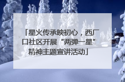星火传承映初心，西厂口社区开展“两弹一星”精神主题宣讲活动