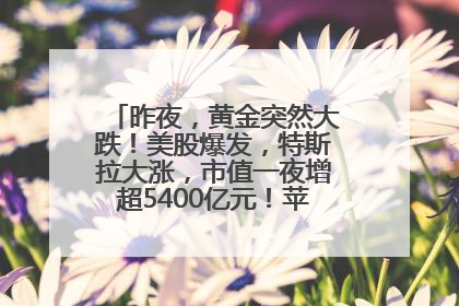 昨夜，黄金突然大跌！美股爆发，特斯拉大涨，市值一夜增超5400亿元！苹果传来大消息