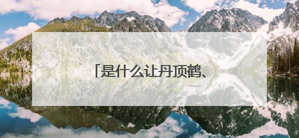 是什么让丹顶鹤、东方白鹳等珍稀鸟类纷纷在此落脚？