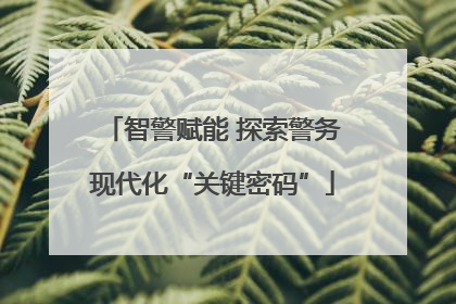智警赋能 探索警务现代化“关键密码”