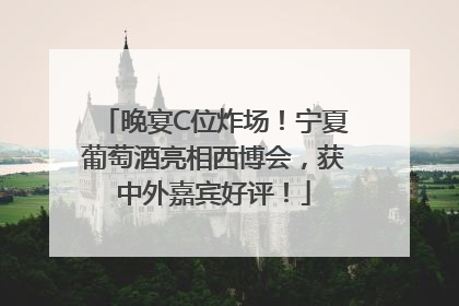 晚宴C位炸场！宁夏葡萄酒亮相西博会，获中外嘉宾好评！