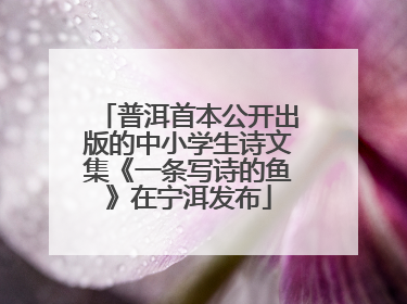 普洱首本公开出版的中小学生诗文集《一条写诗的鱼》在宁洱发布