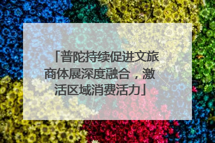 普陀持续促进文旅商体展深度融合，激活区域消费活力
