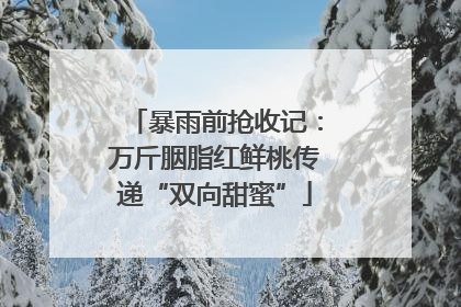 暴雨前抢收记：万斤胭脂红鲜桃传递“双向甜蜜”
