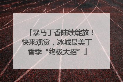 暴马丁香陆续绽放！快来观赏，冰城最美丁香季“终极大招”