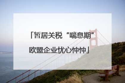 暂居关税“喘息期” 欧盟企业忧心忡忡
