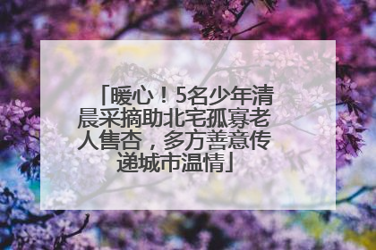 暖心！5名少年清晨采摘助北宅孤寡老人售杏，多方善意传递城市温情