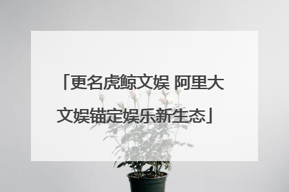 更名虎鲸文娱 阿里大文娱锚定娱乐新生态