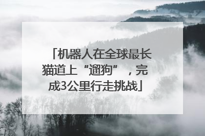 机器人在全球最长猫道上“遛狗”，完成3公里行走挑战
