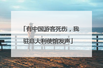 有中国游客死伤，我驻意大利使馆发声