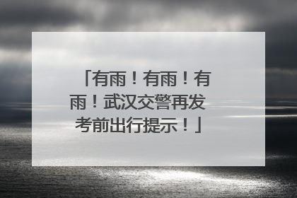 有雨！有雨！有雨！武汉交警再发考前出行提示！