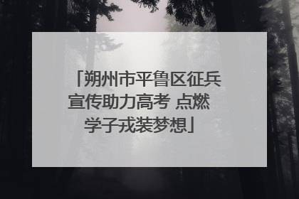 朔州市平鲁区征兵宣传助力高考 点燃学子戎装梦想