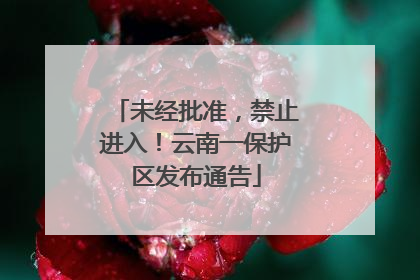 未经批准，禁止进入！云南一保护区发布通告