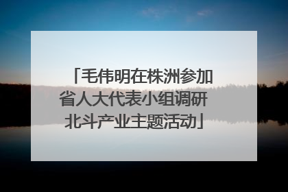毛伟明在株洲参加省人大代表小组调研北斗产业主题活动
