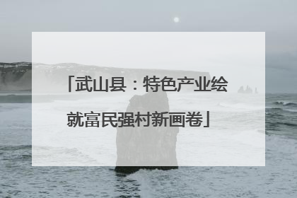 武山县：特色产业绘就富民强村新画卷