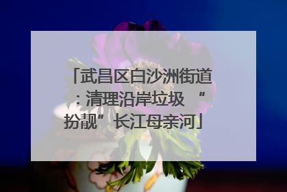 武昌区白沙洲街道：清理沿岸垃圾 “扮靓”长江母亲河