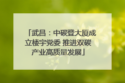 武昌：中碳登大厦成立楼宇党委 推进双碳产业高质量发展