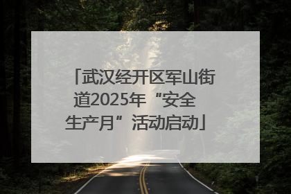 武汉经开区军山街道2025年“安全生产月”活动启动