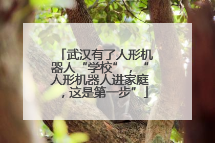 武汉有了人形机器人“学校”，“人形机器人进家庭，这是第一步”