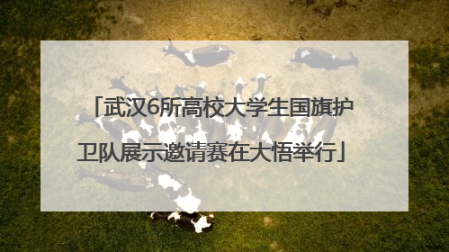 武汉6所高校大学生国旗护卫队展示邀请赛在大悟举行
