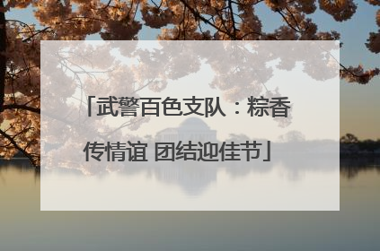 武警百色支队：粽香传情谊 团结迎佳节
