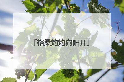 格桑灼灼向阳开