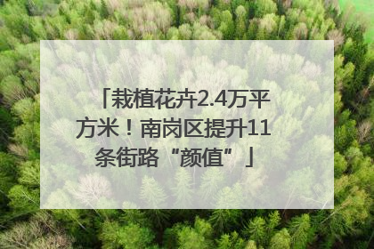 栽植花卉2.4万平方米！南岗区提升11条街路“颜值”