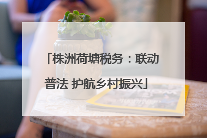 株洲荷塘税务：联动普法 护航乡村振兴