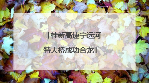 桂新高速宁远河特大桥成功合龙