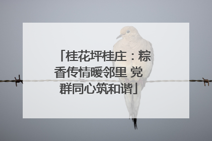 桂花坪桂庄：粽香传情暖邻里 党群同心筑和谐