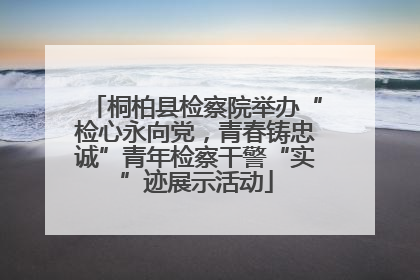 桐柏县检察院举办“检心永向党，青春铸忠诚”青年检察干警“实”迹展示活动