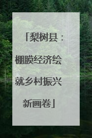 梨树县：棚膜经济绘就乡村振兴新画卷