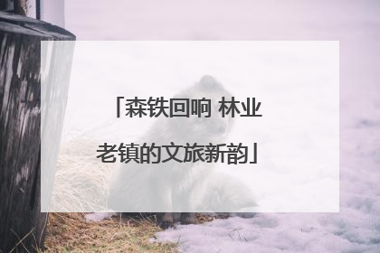 森铁回响 林业老镇的文旅新韵
