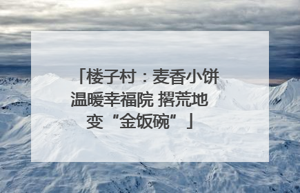 楼子村：麦香小饼温暖幸福院 撂荒地变“金饭碗”