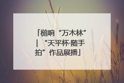 槌响“万木林”｜“天平杯·随手拍”作品展播