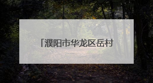 濮阳市华龙区岳村镇人大代表一线助力粮食安全保卫战