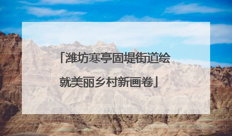 潍坊寒亭固堤街道绘就美丽乡村新画卷