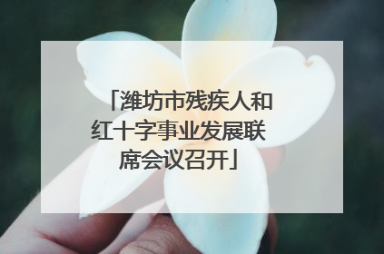 潍坊市残疾人和红十字事业发展联席会议召开