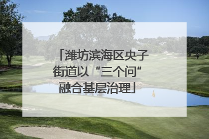 潍坊滨海区央子街道以“三个问”融合基层治理