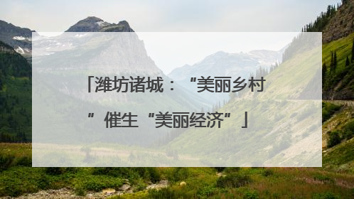 潍坊诸城：“美丽乡村”催生“美丽经济”