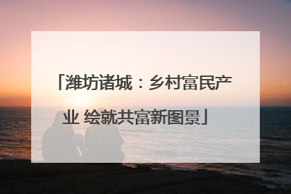 潍坊诸城：乡村富民产业 绘就共富新图景