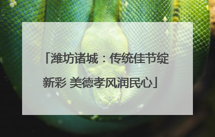 潍坊诸城：传统佳节绽新彩 美德孝风润民心