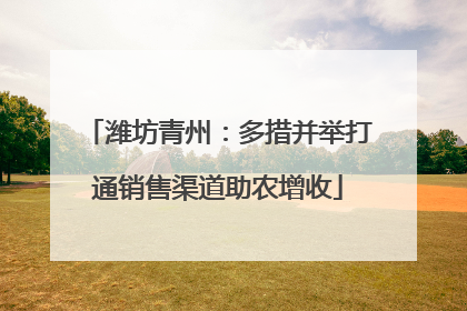 潍坊青州：多措并举打通销售渠道助农增收