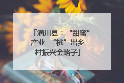 潢川县：“甜蜜”产业  “桃”出乡村振兴金路子