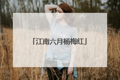 江南六月杨梅红