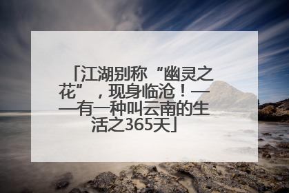 江湖别称“幽灵之花”，现身临沧！——有一种叫云南的生活之365天