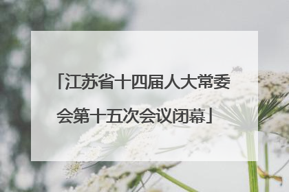 江苏省十四届人大常委会第十五次会议闭幕