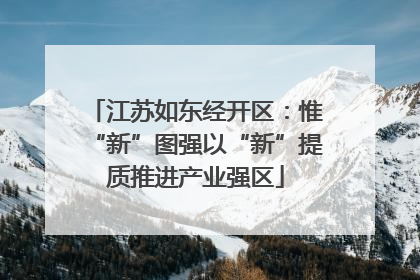 江苏如东经开区：惟“新”图强以“新”提质推进产业强区