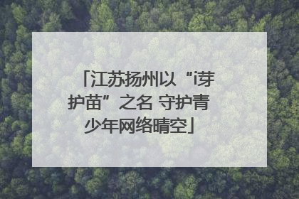 江苏扬州以“i芽护苗”之名 守护青少年网络晴空