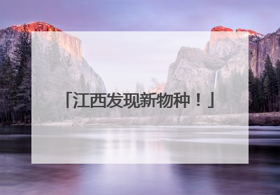 江西发现新物种！